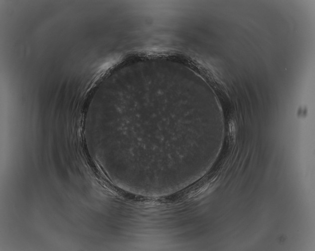 X0000090761300200708031621