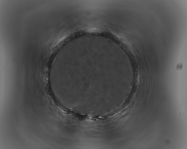 X0000090761301200708031621