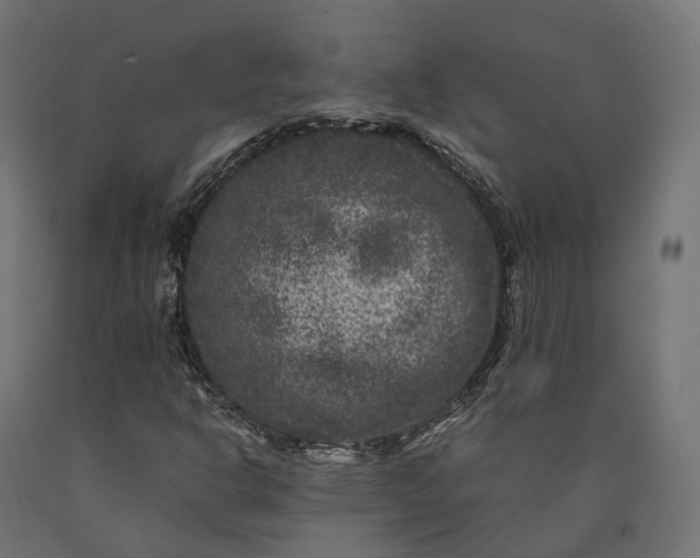 X0000090761302200708031621