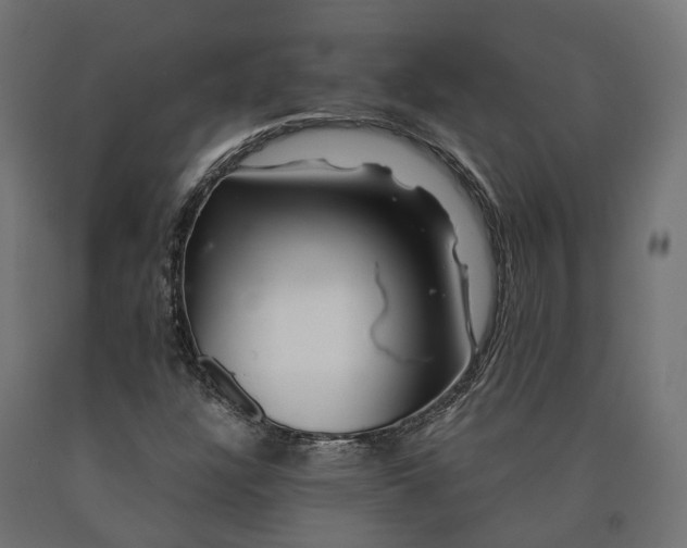 X0000090761304200708031621