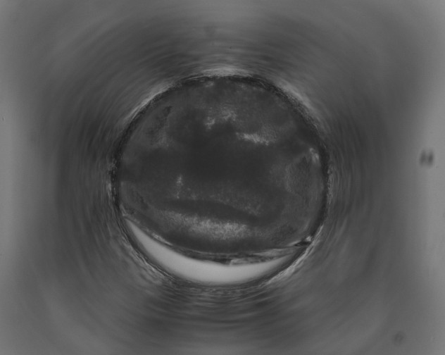 X0000090761305200708031621