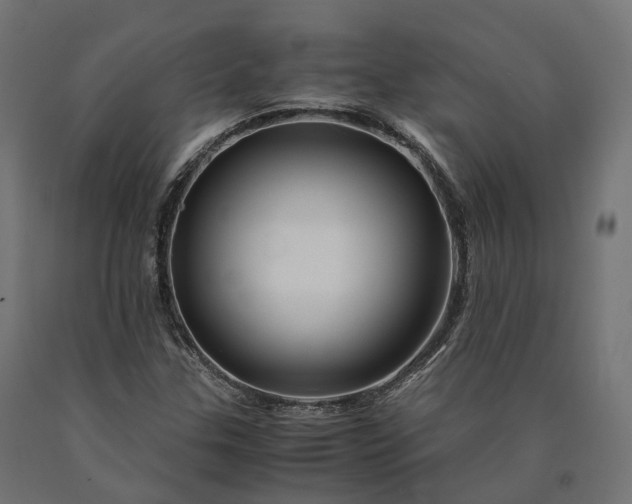 X0000090761307200708031621