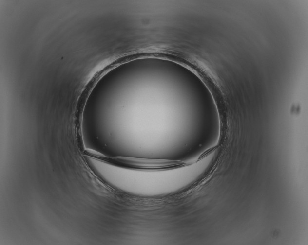 X0000090761308200708031621