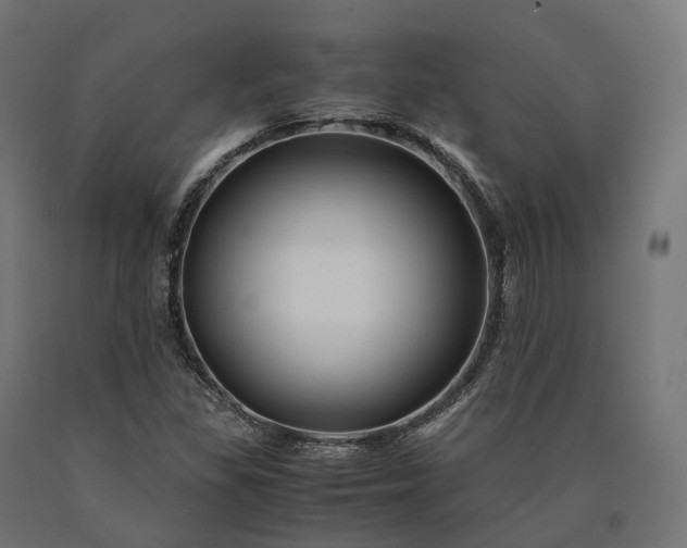 X0000090761309200708031621