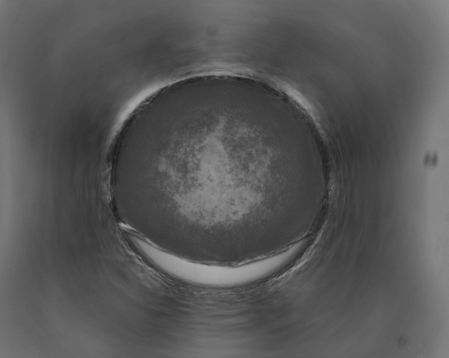 X0000090761310200708031621