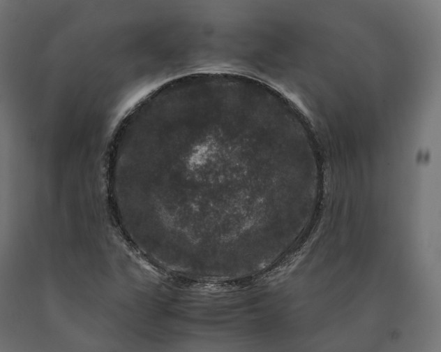 X0000090761311200708031621