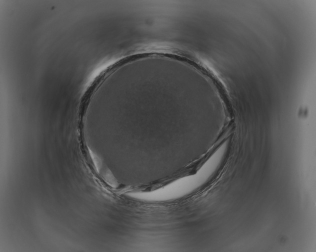 X0000090761312200708031621