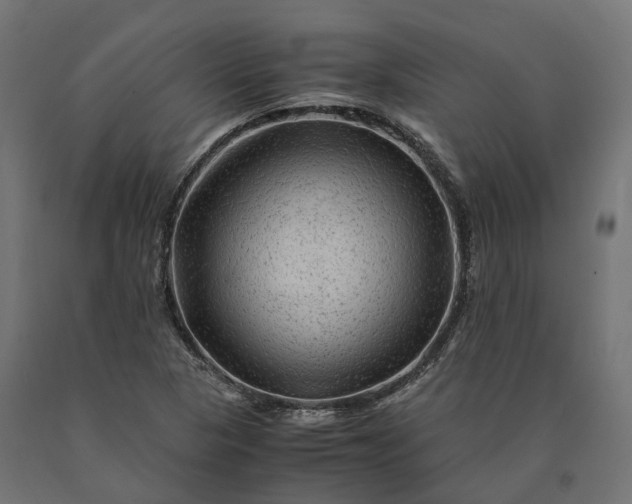 X0000090761313200708031621