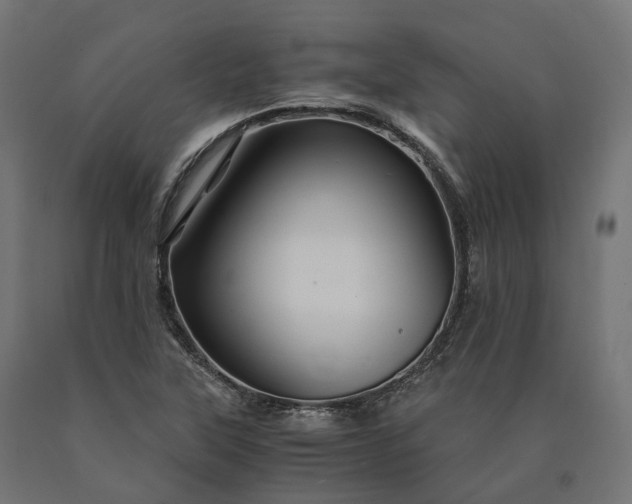 X0000090761315200708031621