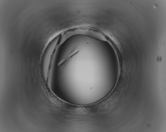 X0000090761316200708031621