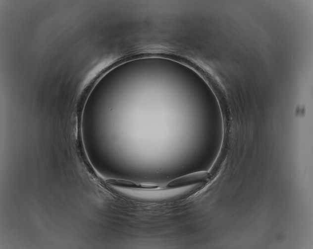 X0000090761317200708031621