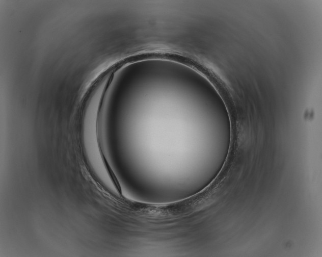 X0000090761318200708031621