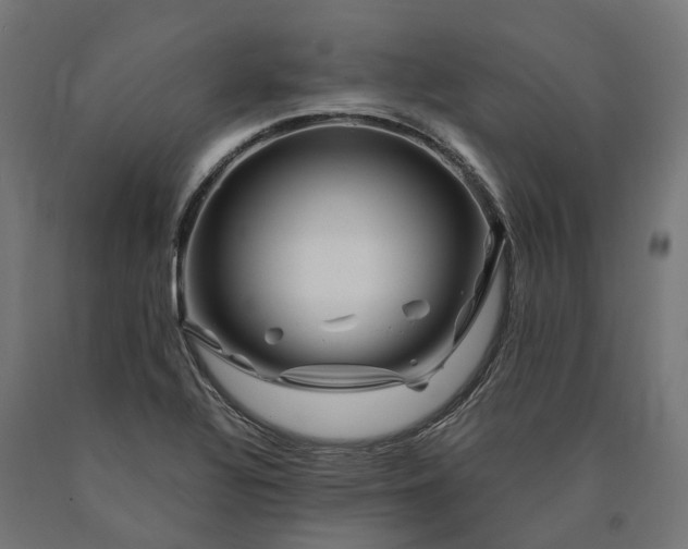 X0000090761320200708031621