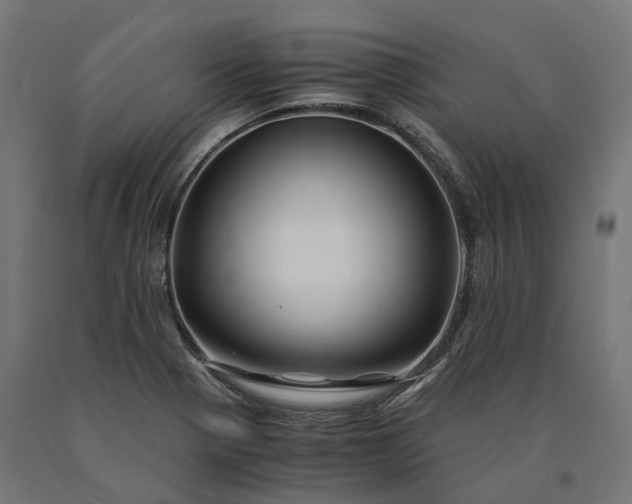 X0000090761321200708031621