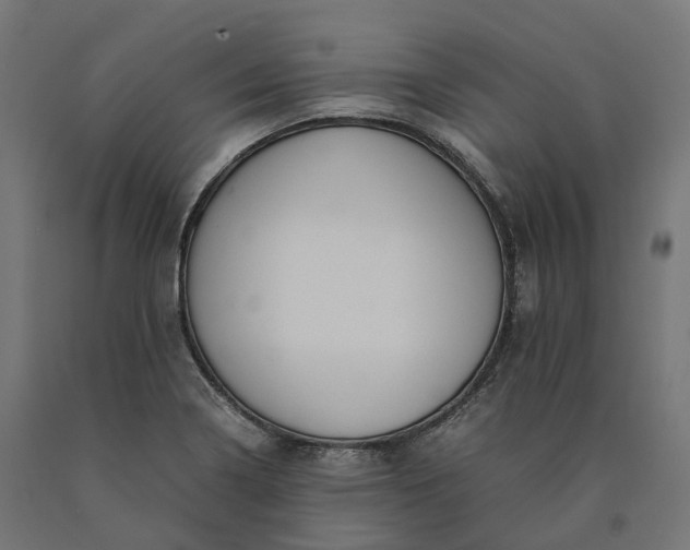 X0000090761322200708031621