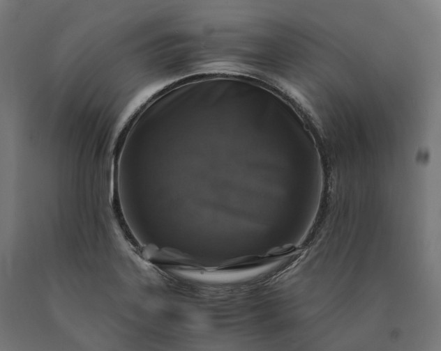 X0000090761323200708031621