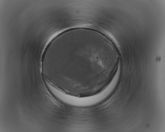 X0000090761324200708031621