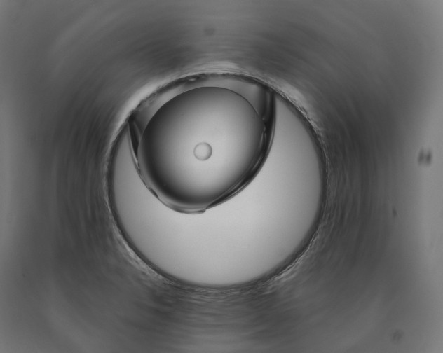 X0000090761326200708031621