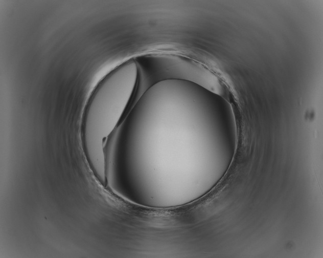 X0000090761328200708031621