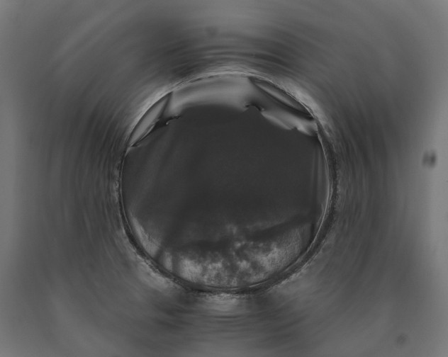 X0000090761329200708031621