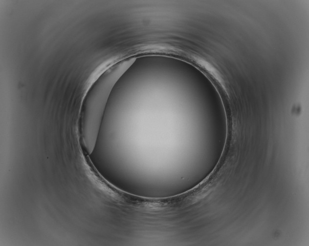 X0000090761330200708031621