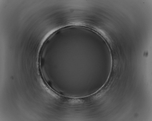 X0000090761331200708031621