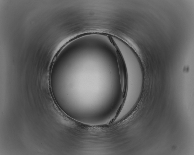 X0000090761332200708031621