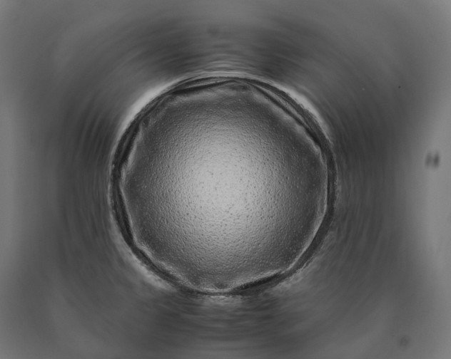 X0000090761333200708031621