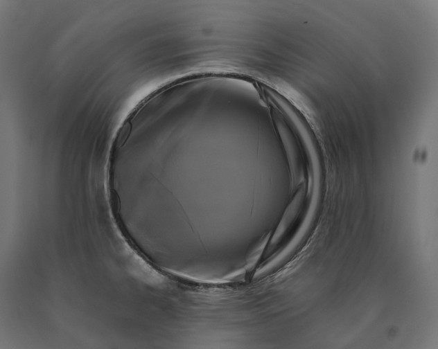 X0000090761334200708031621