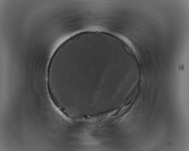 X0000090761335200708031621