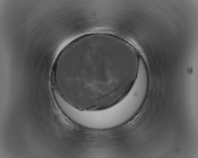 X0000090761336200708031621