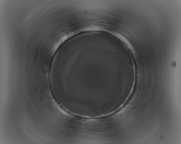 X0000090761337200708031621