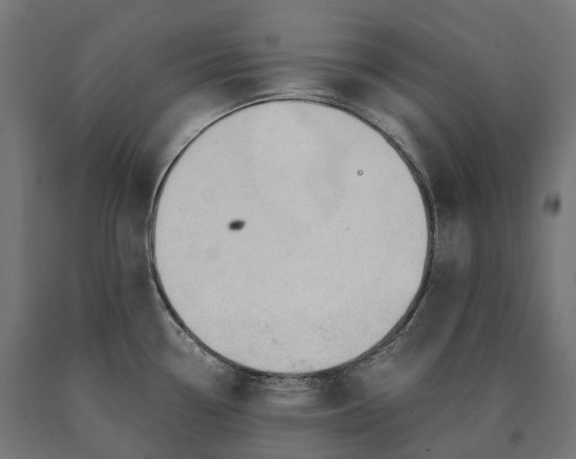 X0000090761338200708031622