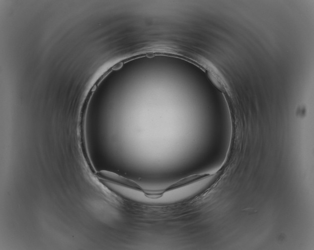 X0000090761339200708031622