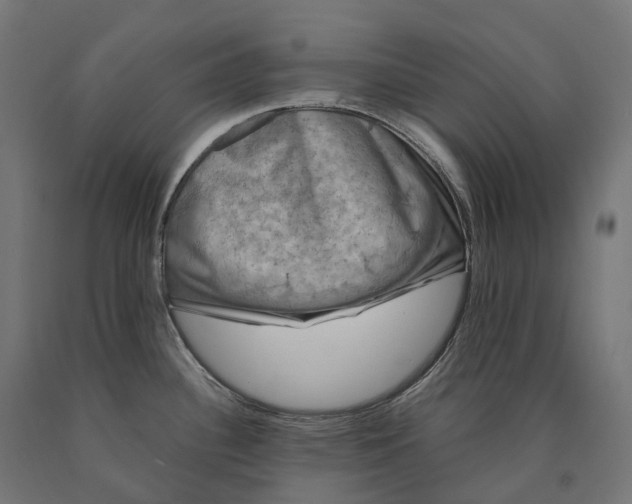 X0000090761340200708031622