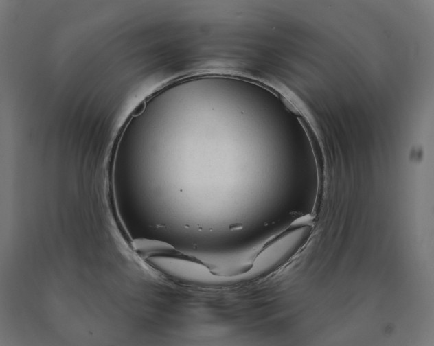 X0000090761341200708031622