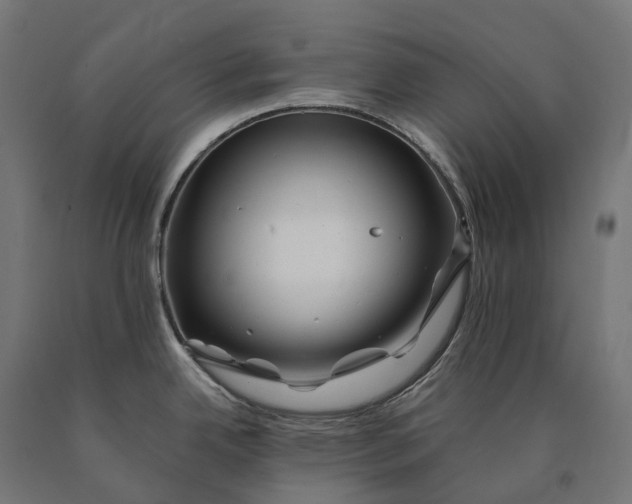 X0000090761342200708031622