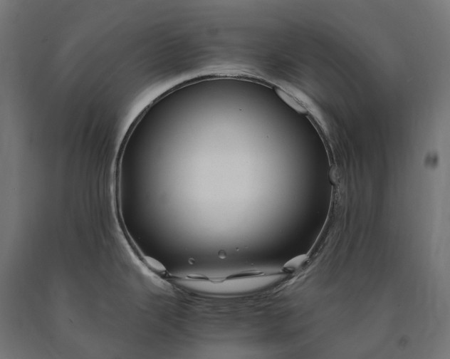 X0000090761343200708031622