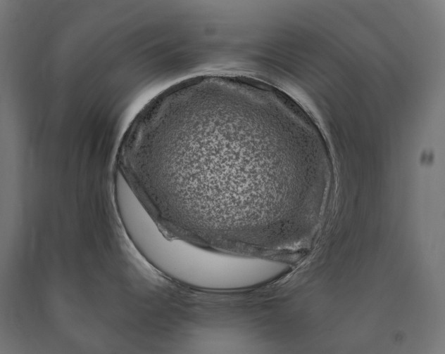 X0000090761344200708031622