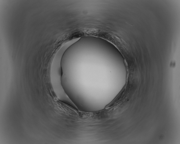 X0000090761345200708031621