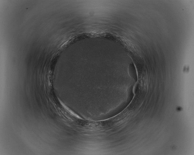 X0000090761346200708031621