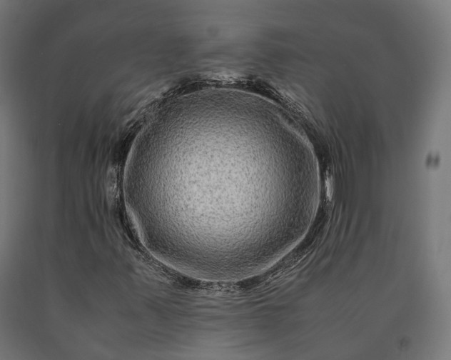 X0000090761347200708031621