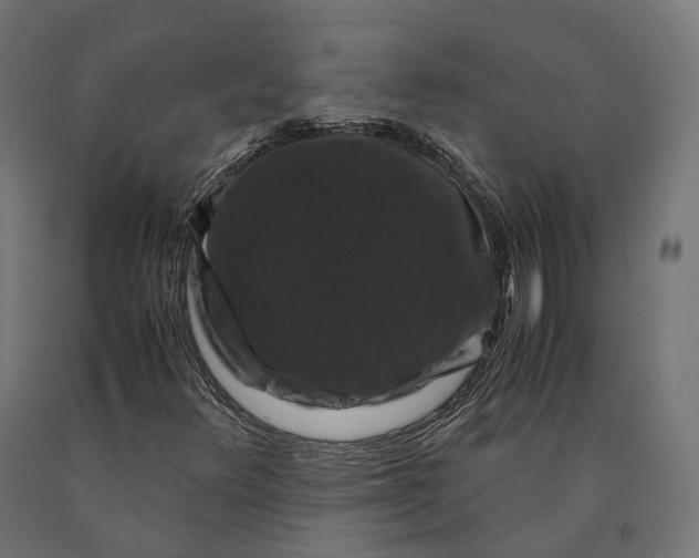 X0000090761348200708031621