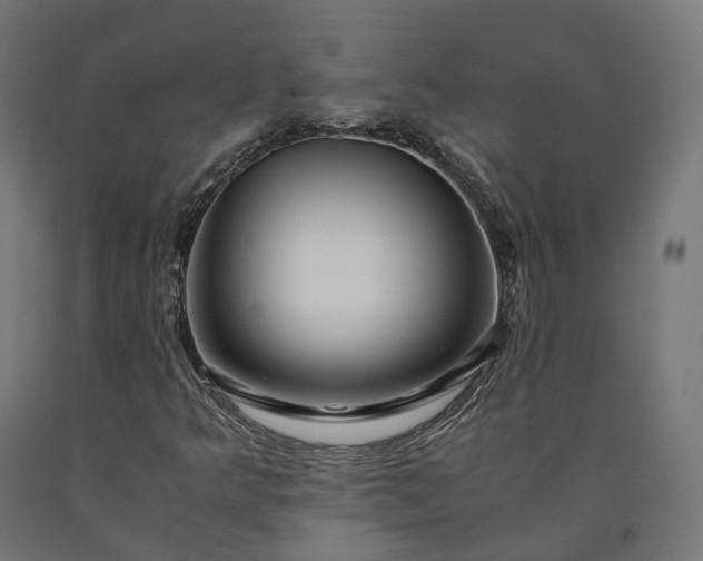 X0000090761349200708031621