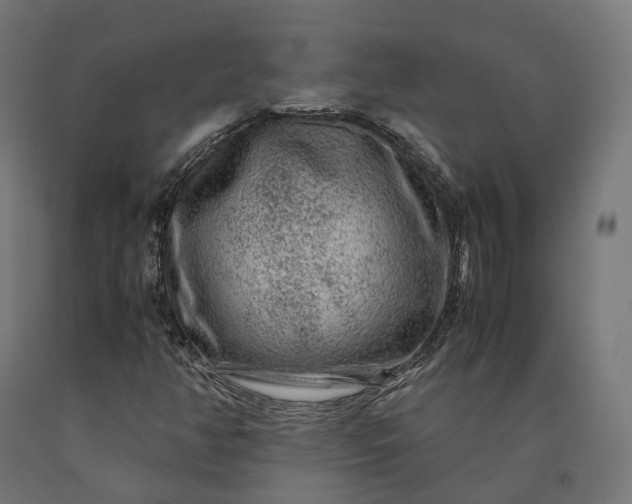 X0000090761350200708031621