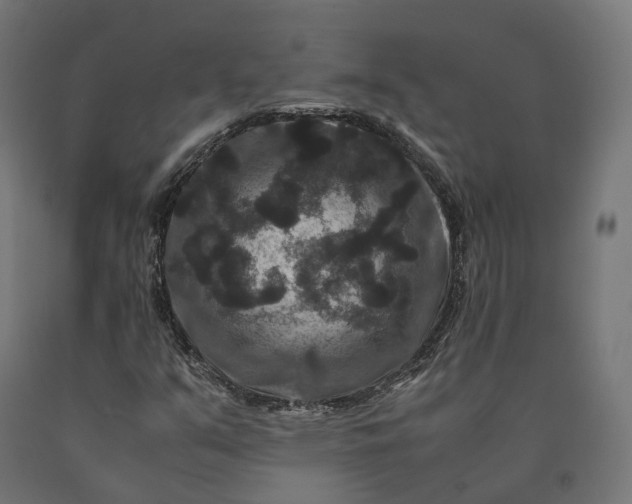 X0000090761351200708031621