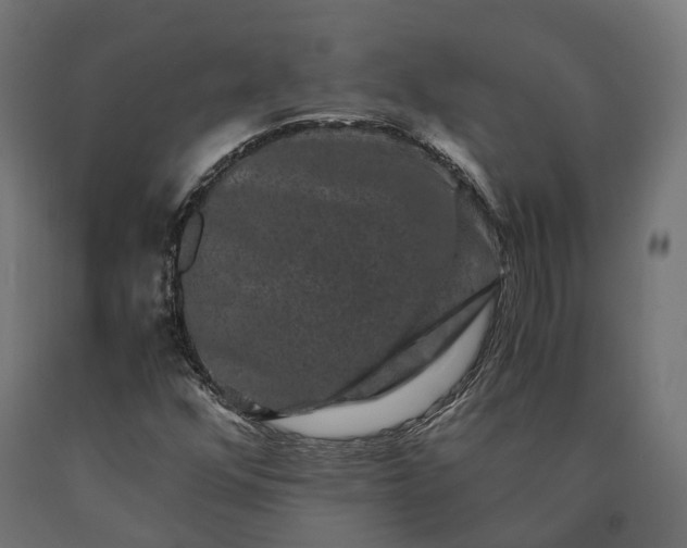 X0000090761352200708031621