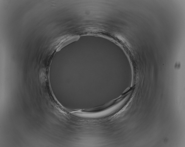 X0000090761353200708031621