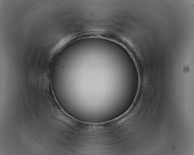 X0000090761354200708031621