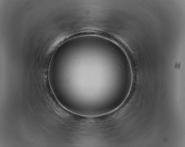 X0000090761355200708031621